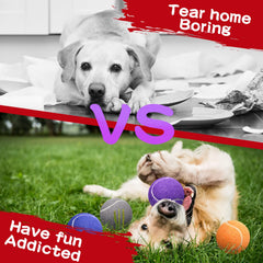 Balles tennis chien Yunsailing favorise joie et interaction entre chiens.