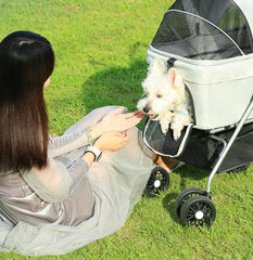 YYW porte-petit-animal detache pour transfert rapide entre modes