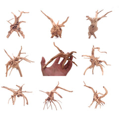 YZHZOM bois flotté araignée pour aquarium, décor naturel et apaisant.