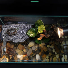 YZHZOM rocher-flottant tortue: aspect naturel favorisant l’ensoleillement et l’activité.