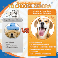 ZEBORA Chien Probiotiques Digestion, amélioration possible de la digestion.