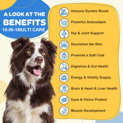 ZEBORA: bouchées soutien immunitaire et digestion pour chien et pelage en pleine forme.