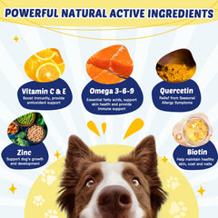 ZEBORA Omega3 bouchées poulet pour chien, alimentation pratique.