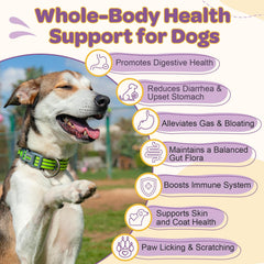 ZEBORA Probiotiques chien, 10 souches pour équilibre intestinal et immunité.
