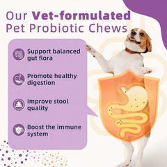 Emballage ZEBORA probiotiques pour chien posé sur table, source naturelle pour l'équilibre digestif.