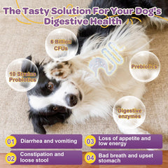 ZEBORA Probiotiques chien, oméga-3 et vitamines pour peau et pelage sains.