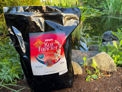 Zeigler granulés spiruline améliorant couleur et appétence pour koi et poissons rouges