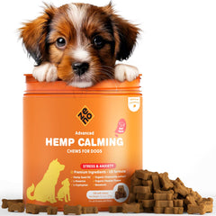 Bouteille ZENO pour chien au boeuf, démontrant un calme potentiel