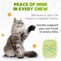 ZENO Hemp Calming Chews chat voyage en voiture – soutien au calme.