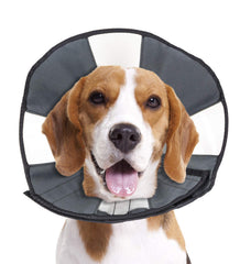 ZenPet E-collar chien – visbilité claire et repas faciles.