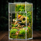 Terrarium ZenWUKONG en acrylique clair pour observer facilement les araignées sauteuses.