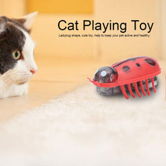 Jouet Zerodis pour chat, design mignon et attractif pour le jeu.