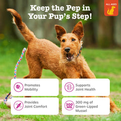 Zesty Paws Mussel Mobility Bites, bouchées pour articulations canines, facile à doser.