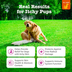 Zesty Paws bouchées poulet – croquantes et savoureuses pour chien
