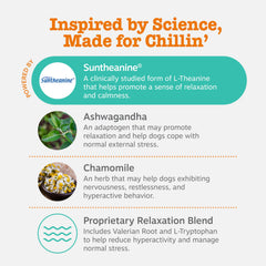 Zesty Paws Calming Chews – Ashwagandha Sensoril pour aider les chiots face au stress