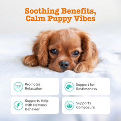 Zesty Paws Calming Chews – ingrédients Suntheanine pour relaxation potentielle des chiots