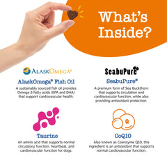 Tableau des ingrédients Zesty Paws Cardio Bites, richesse en antioxydants.