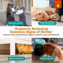 Nébuliseur breveté Zesty Paws, diffusion discrète pour le calme du chat.
