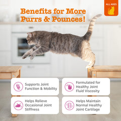 Texture molle des bouchées Zesty Paws pour chat, faciles à mâcher et appétentes