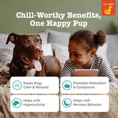 Friandises poulet fumé Zesty Paws Lil Zesties, goût attractif pour les chiens.