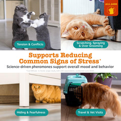 Bouteille de recharge Zesty Paws pour diffuseur chat, ensemble triple.