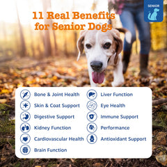 Zesty Paws Senior Chien: glucosamine-articulations, pouvant soutenir mobilité et confort des hanches.