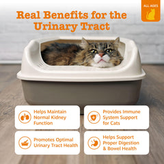 Zesty Paws Mousse Urinaire pour Chats – flacon souple et mousse appétente pour les chats