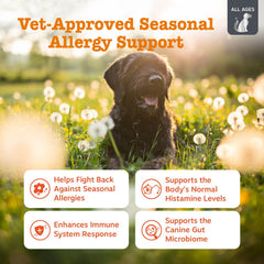 Zesty Paws Vet Strength Chews — bouchées chien, texture croquante et appétentes.