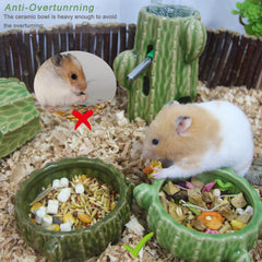 Bol en céramique Zhilishu anti-bascule pour hamster, offre stabilité pendant les repas.