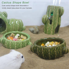 Bol Zhilishu d'eau pour hamster, cactus sombre, facilite remplissage et rinçage rapide.