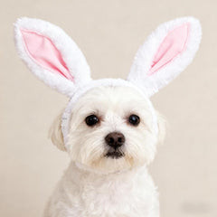 Accessoire Zhzrche Pâques lapin peluche pour petit chien, ambiance festive.