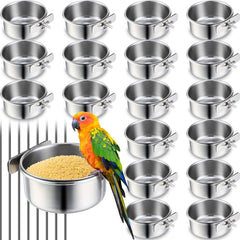 Bol d'alimentation Ziliny 10 oz pour perroquet, alimentation régulière simplifiée.