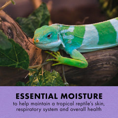 Zilla Tropical Mist – etiquette: identification rapide et application pratique.