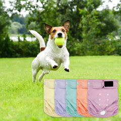 Couches ZINGTERRA chien PUL anti fuite, protection durable.