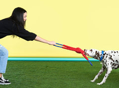 ZippyPaws RopeTugz sifflet grand, stimulation sonore pendant le jeu