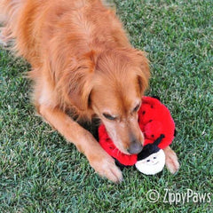 ZippyPaws Squeakie Crawler Betsey: surface douce pour jeu confortable.