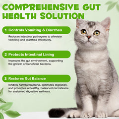 ZIXBMHYJ Probiotiques chat, prébiotiques et enzymes: soutien digestif quotidien.