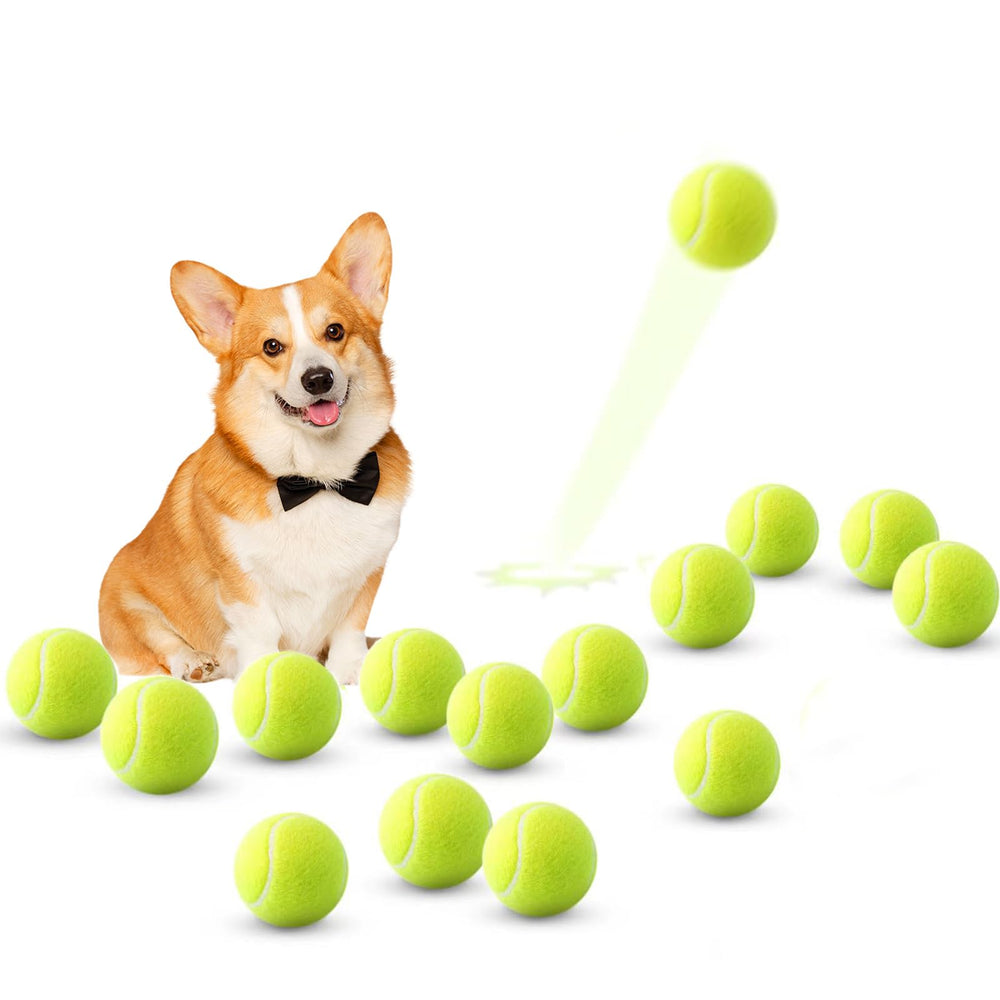 ZIYIZE lot de 15 balles tennis mini, idéal pour le jeu quotidien.