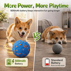Zizimoko balle chien moyen et grand en action facilite la poursuite
