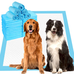 Tapis-pipi ZJYXJK tres-grande 36x36 pour chiens, absorption rapide.