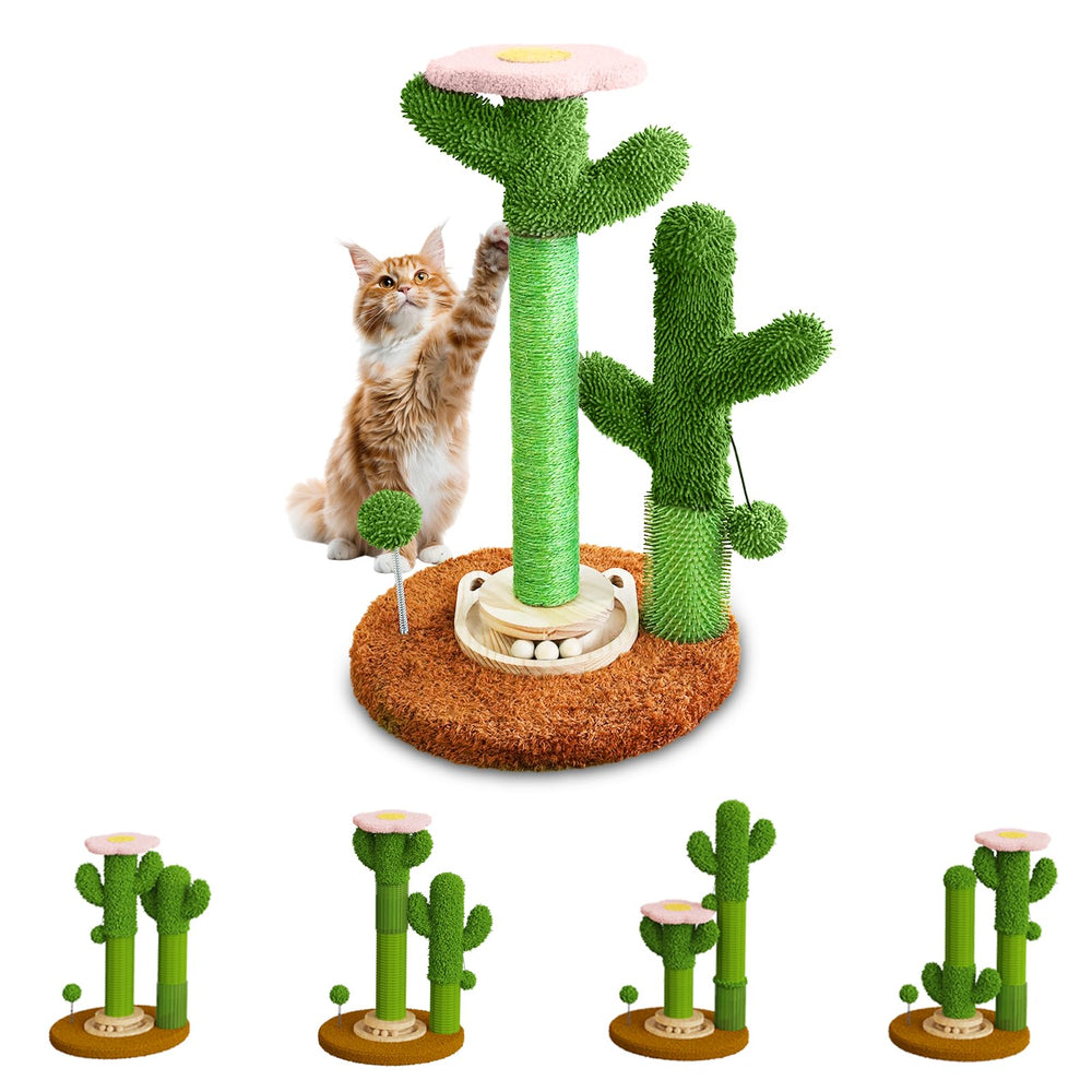 ZLAFM Cactus Post: styles personnalisables pour stimuler l'escalade et le jeu.