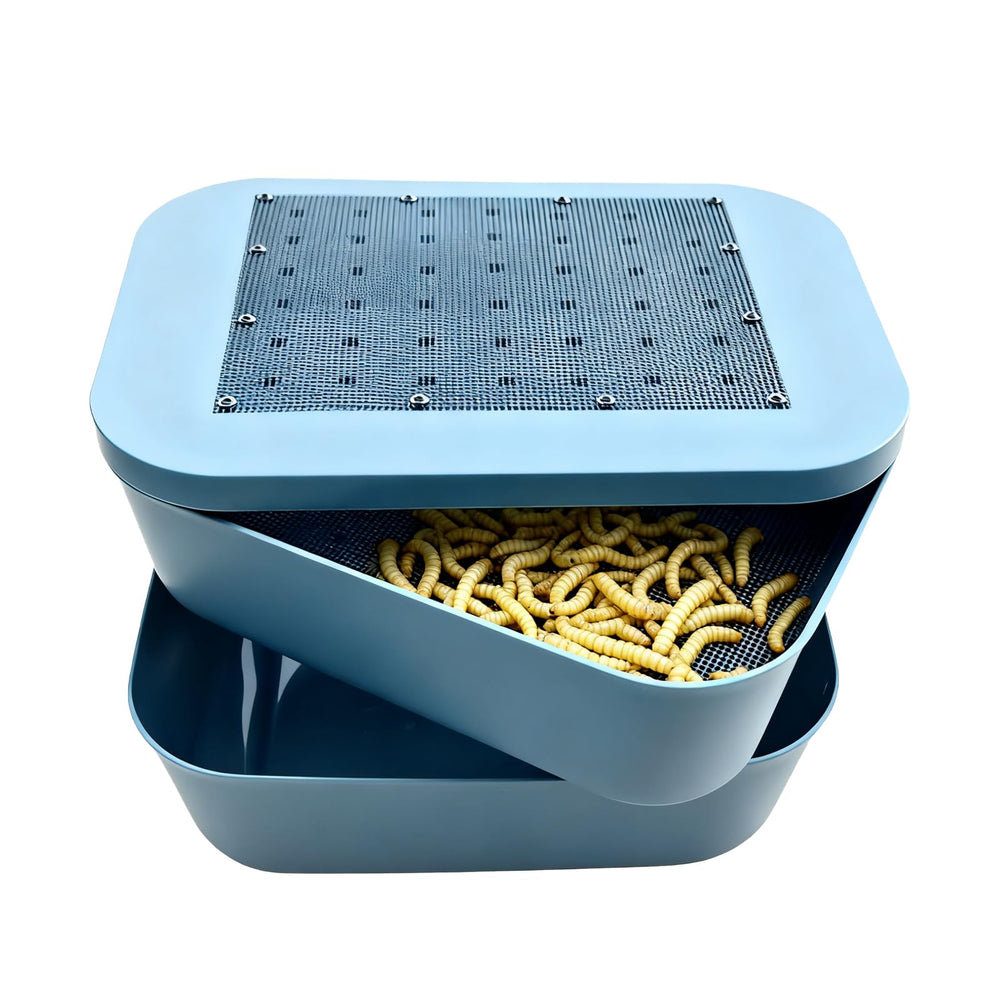 Zmiyivara kit-élevage-larves-de-farine: dispositif pratique pour nourrir les reptiles.