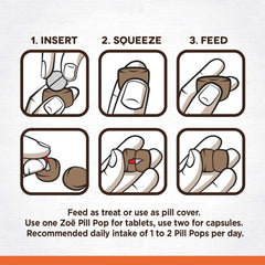 Goût boeuf grillé au gingembre, Zoë Pill Pops, option savoureuse.