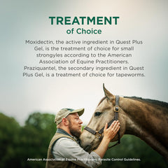 Quest Plus Gel convient aux chevaux, poneys et poulains dès 6 mois.
