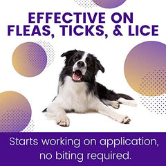 Chiens actifs bénéficient d'une protection ZoGuard Plus contre puces et tiques.