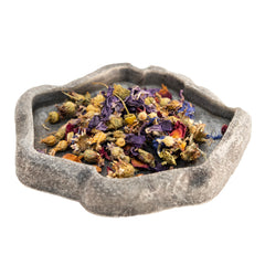 Assortiment Zoo Med de 4 garnitures florales pour tortues, pratique et enrichissant.