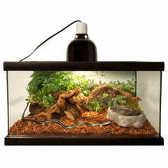 Zoo Med Repti Bark amenagement terrarium facile d'entretien pour reptiles humides