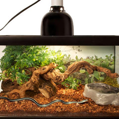 Aperçu d'utilisation du Zoo Med Premium Reptile Bark dans le terrarium.