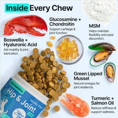 ZOOMEZEN glucosamine-chondroitine-msm-omega3 – formule complète pour articulations.
