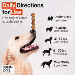 ZOOMEZEN Gommes Allergie Chien – flacon-dose pratique.